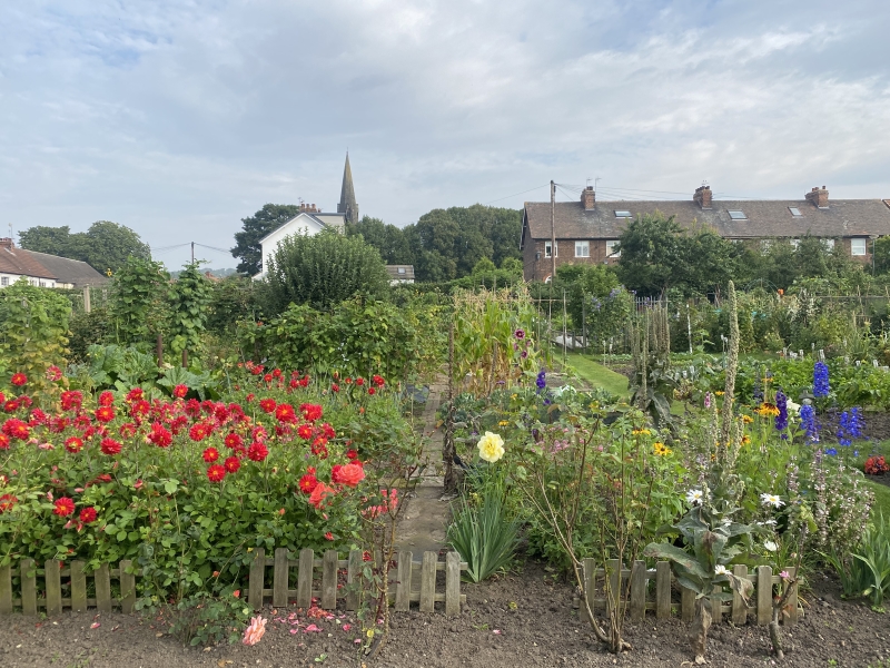 Anne Turner Memorial Allotments